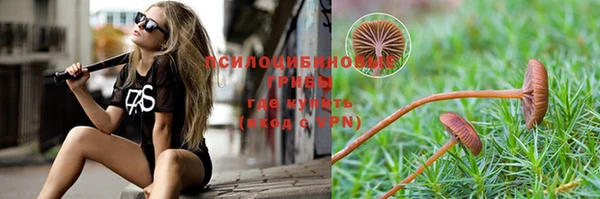 скорость Верея