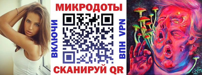 Псилоцибиновые грибы Psilocybe Питкяранта